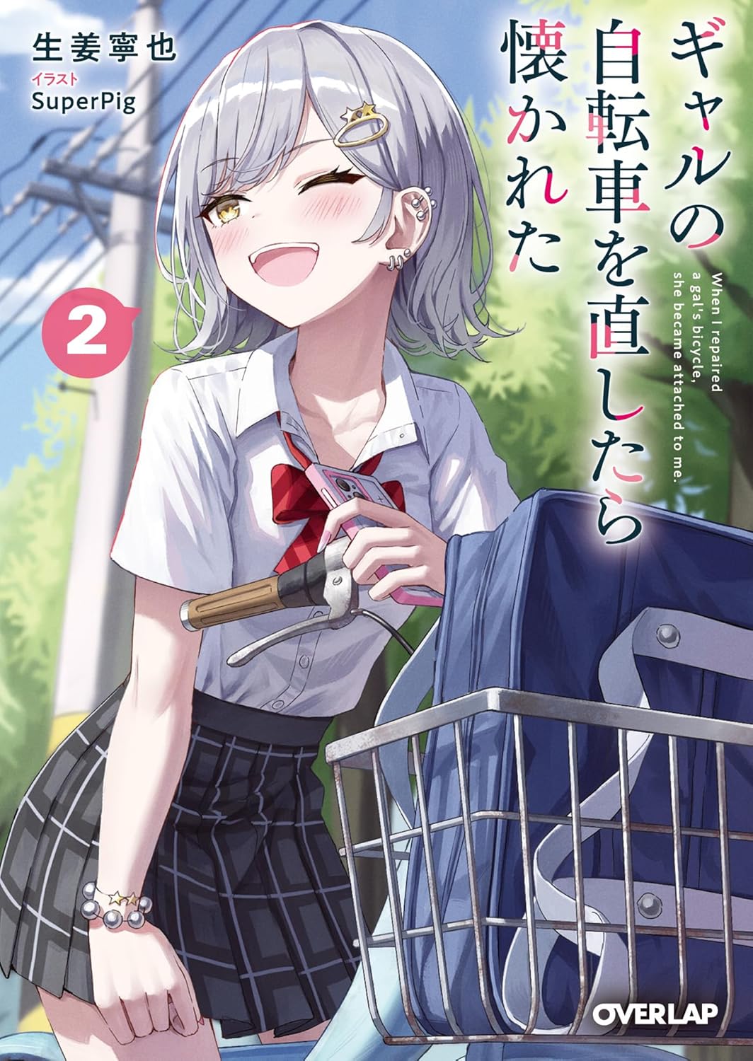 ギャルの自転車を直したら懐かれた 2 cover