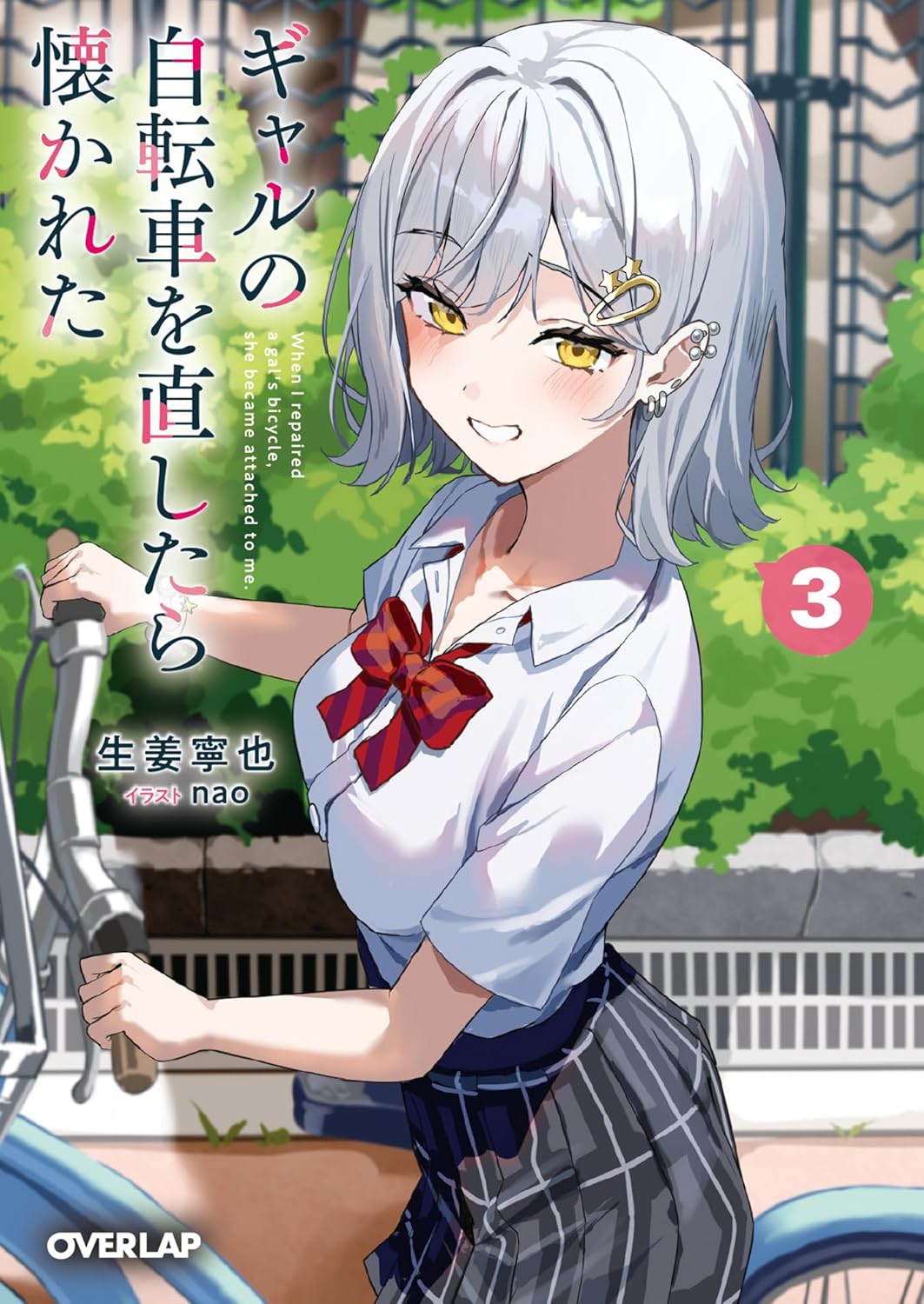 ギャルの自転車を直したら懐かれた 3 cover