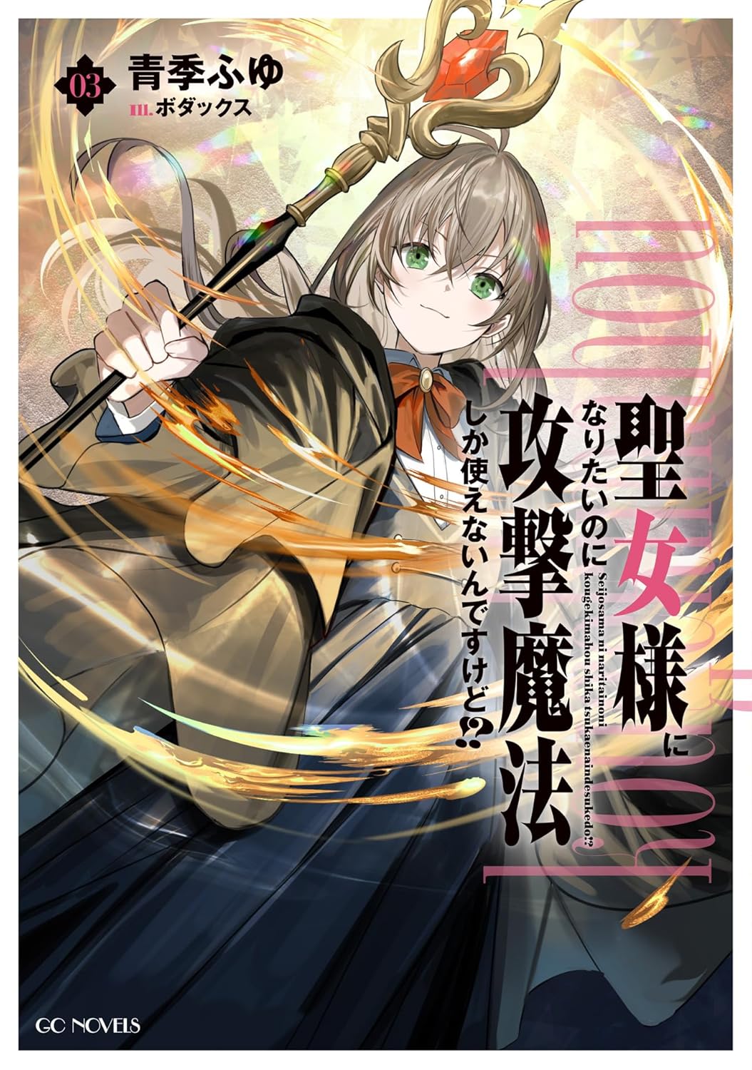 聖女様になりたいのに攻撃魔法しか使えないんですけど!? 3 cover